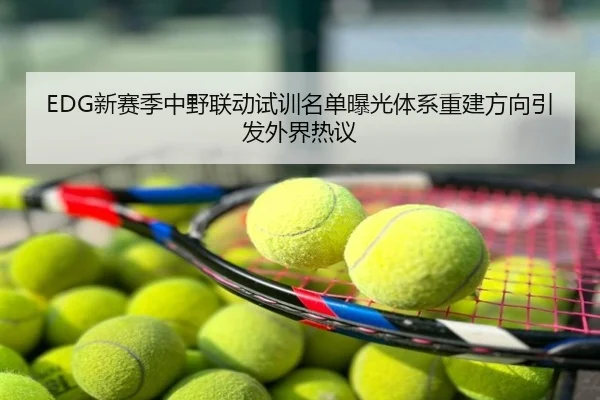 EDG新赛季中野联动试训名单曝光体系重建方向引发外界热议